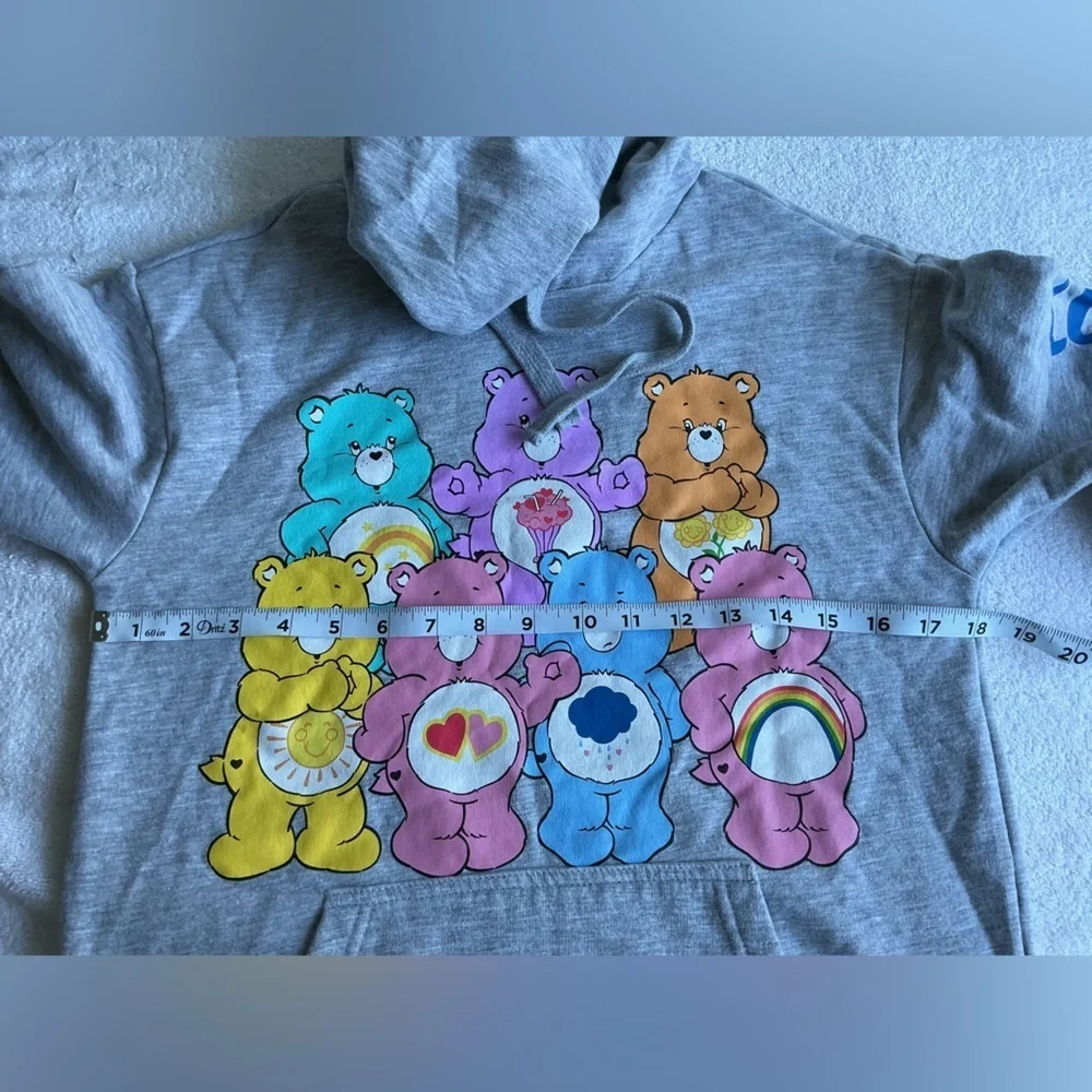 Care Bears Gray Hoodie with Colorful Bears kids